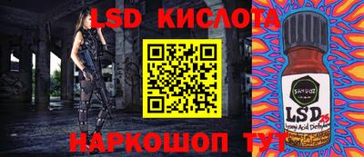спиды Камышлов