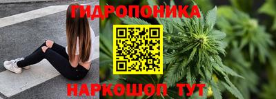 соль ск Канаш