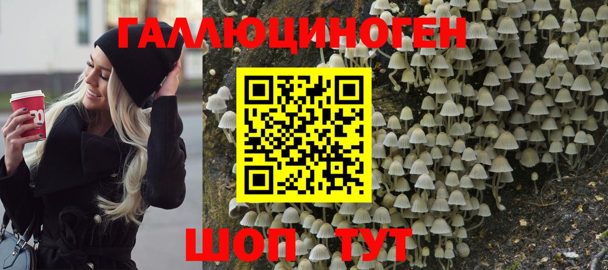 Красноармейск  Галлюциногенные грибы Cubensis  Вход с VPN  Галлюциногенные грибы Psilocybine cubensis 