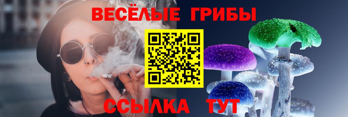 Галлюциногенные грибы Psilocybine cubensis Красноармейск